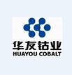 浙江华友钴业股份有限公司